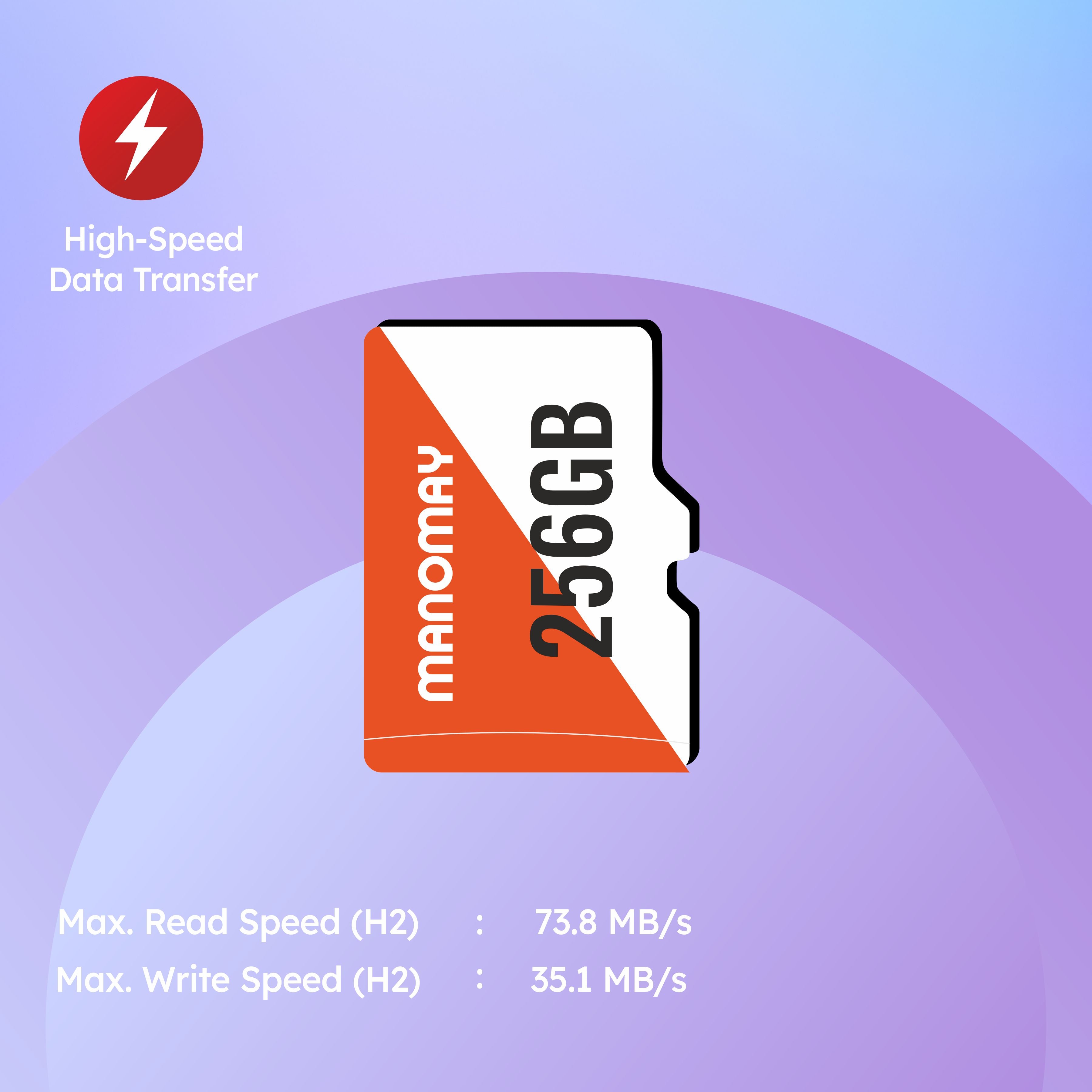 Micro Memory Card 256 GB