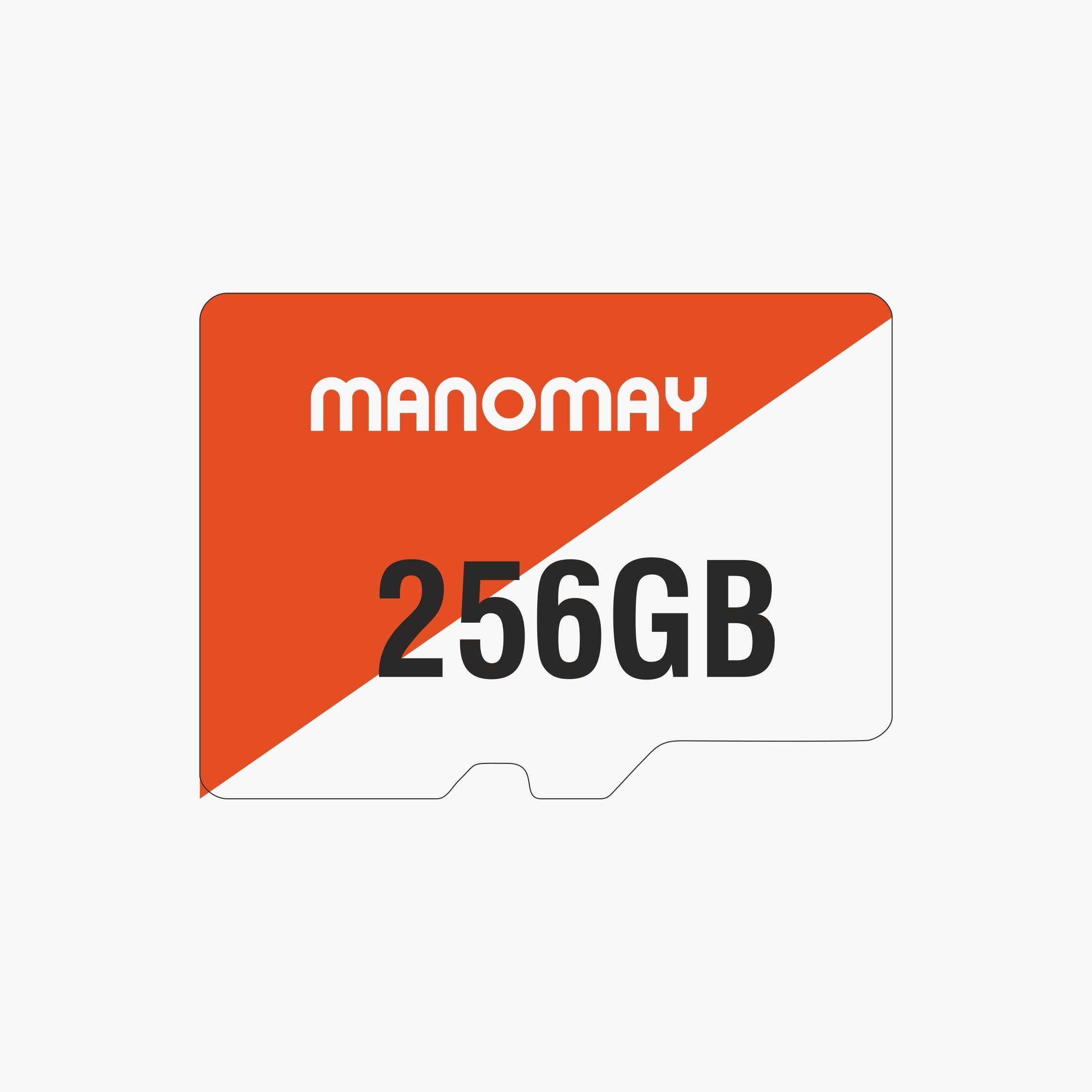 Micro Memory Card 256 GB