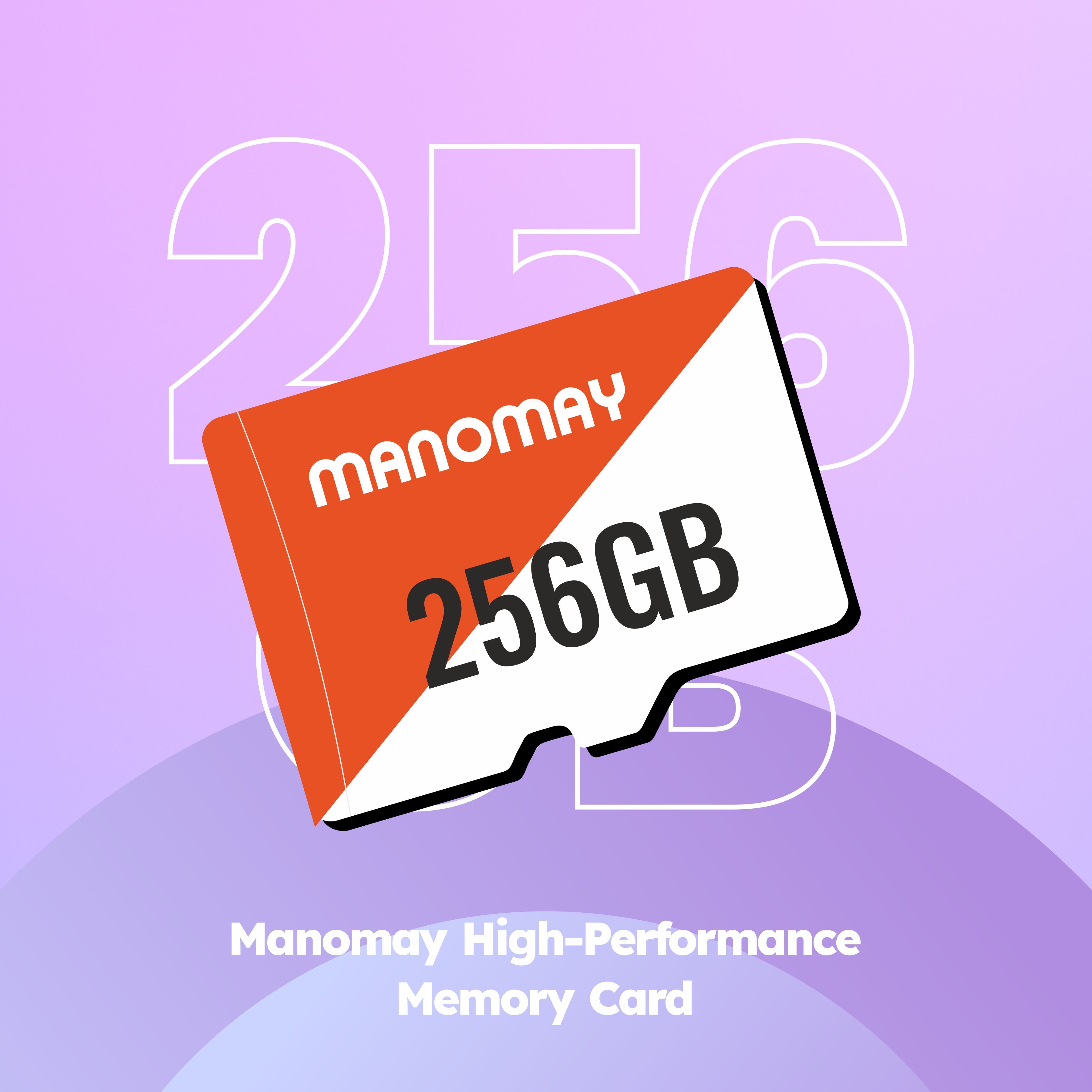Micro Memory Card 256 GB