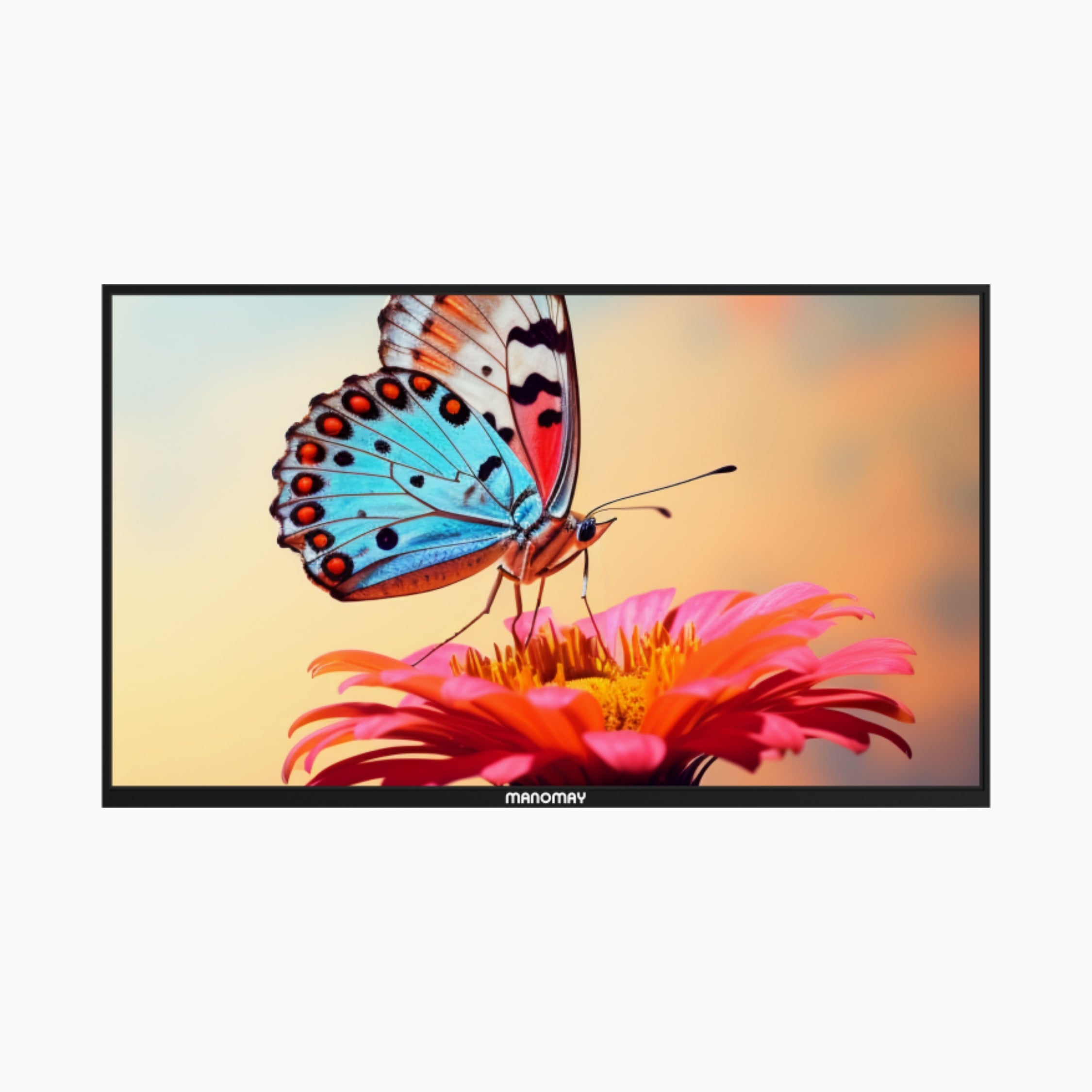 E Series 55 inch Wall Mount DSS A9 2GB 16GB Non Touch